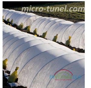 micro tunel en invernadero