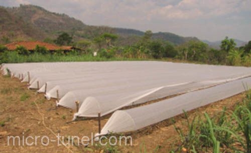 GalerĂa Micro Tunel - Micro Tunel